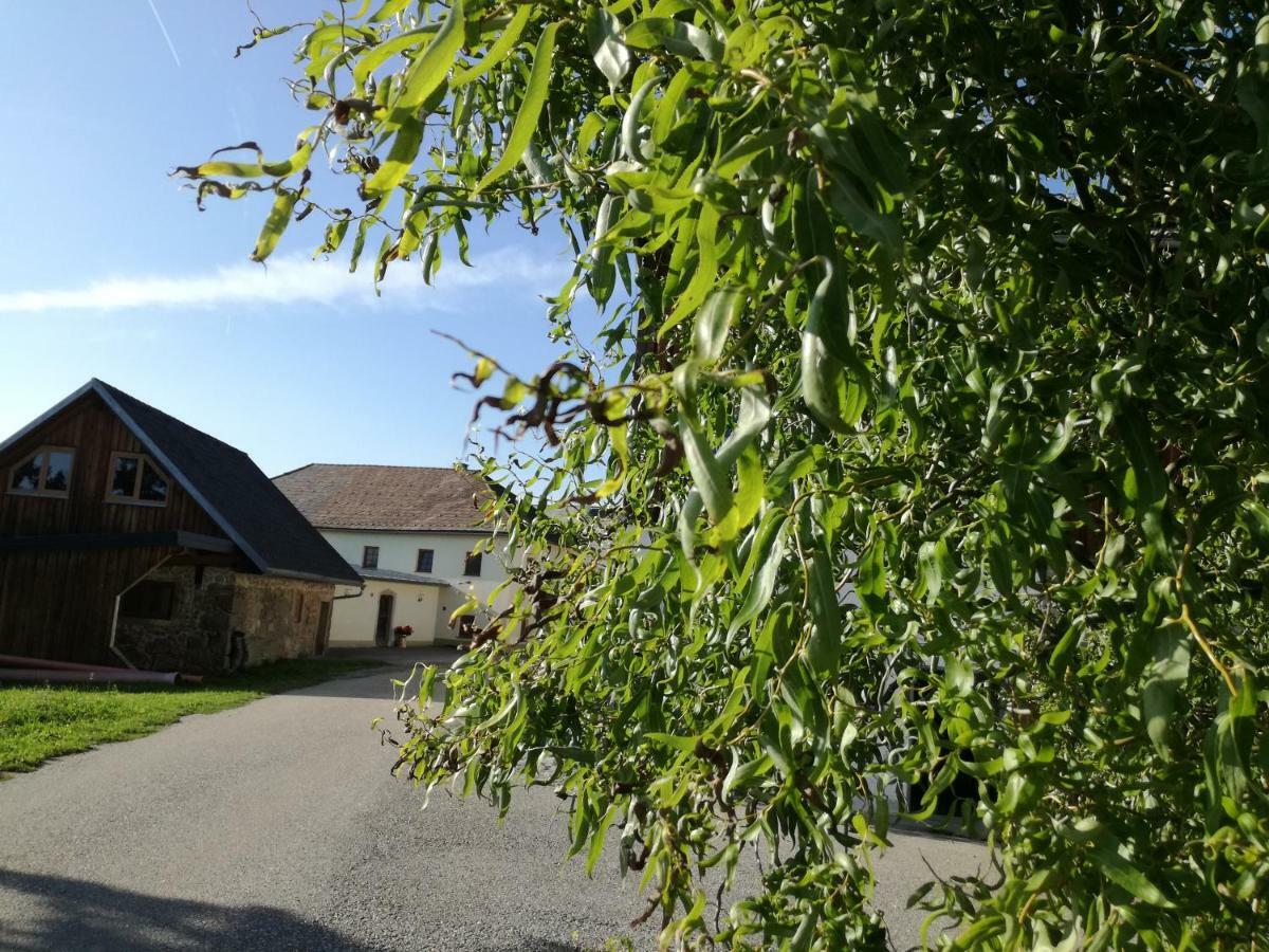 Jenny Villa Lembach im Muhlkreis Exterior photo